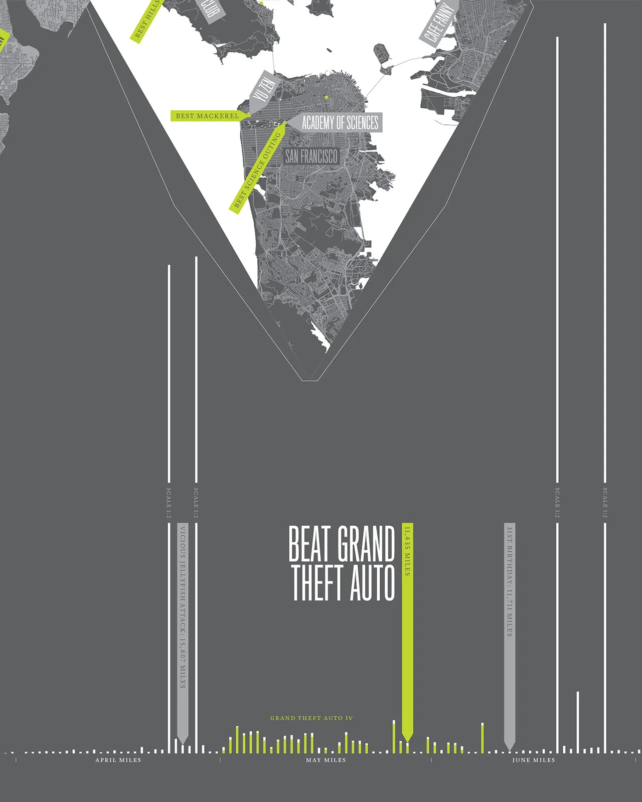 2008 Annual Report, image 14