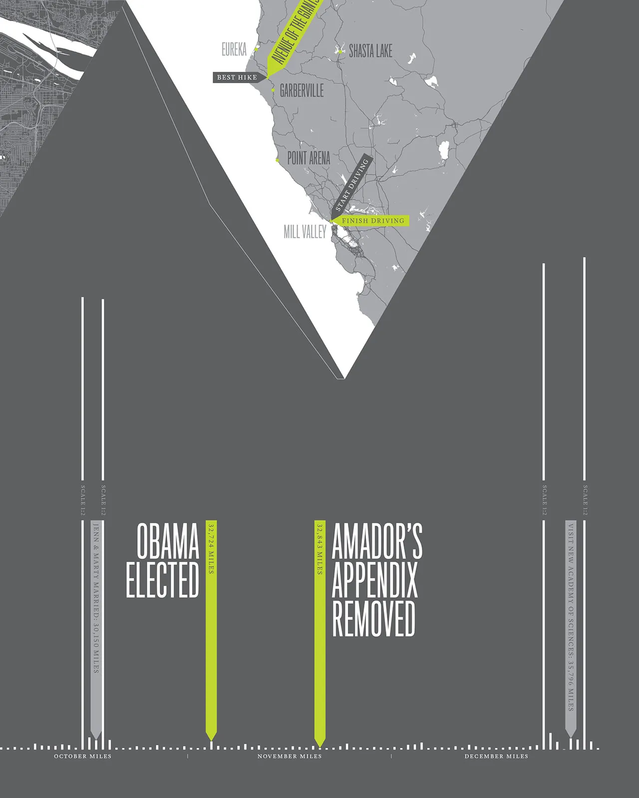 2008 Annual Report, image 16